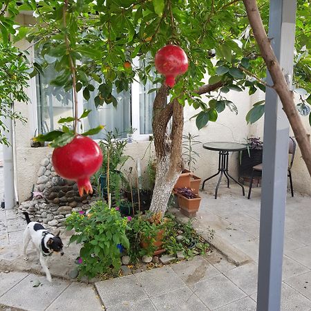 Hotel Домик У Куры Tbilisi Esterno foto